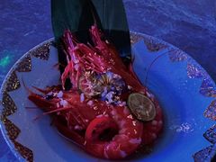 -Hi City·城市之巅