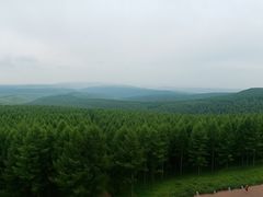 -塞罕坝国家级自然保护区