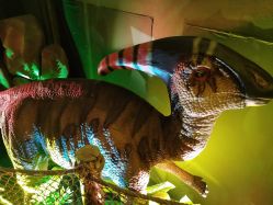 -恐龙探索乐园(磁器口店)