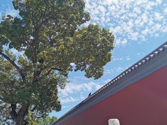 -国家图书馆·古籍馆