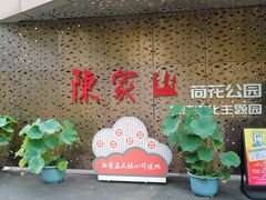 -陈家山荷花公园