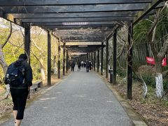 -九龙潭景区