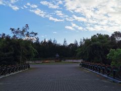 -上海海湾国家森林公园