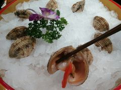 太子贝-捞围鲜·港式打边炉(海阳路店)