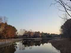 -同里国家湿地公园
