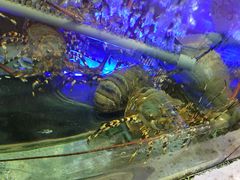 -旅南活海鲜-屏东(墾丁海鮮，海鮮餐廳，墾丁團體合菜，平價熱炒，墾丁熱炒店，活海鮮推薦，在地海鮮餐廳)