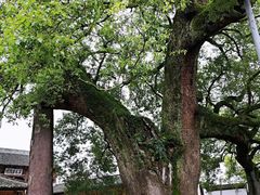 -新安江山水画廊风景区