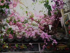 -深圳国际园林花卉博览园