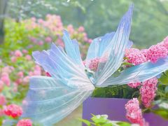 -上海滨江森林公园