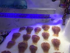 -澜悦港海鲜体验主题餐厅