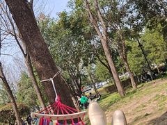 -洨河生态公园
