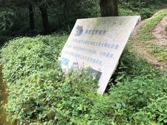 -武陵山森林公园