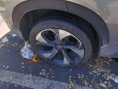 -李师傅修车连锁(万柳店)