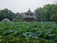 -莲池书院博物馆