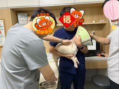 -谐和益家动物医院·免疫绝育·血液透析·宠保定点医院(高新伊藤分院)