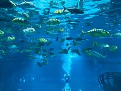 -福州罗源湾海洋世界旅游区