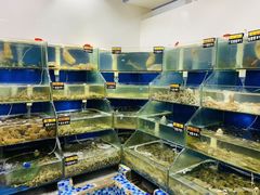 水产区-雅逸居海鲜小厨