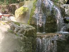 -牛背梁国家森林公园