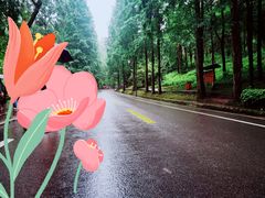 -青城山