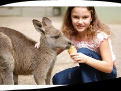 -费瑟代尔野生动物园