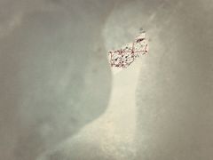 -太子岭滑雪场