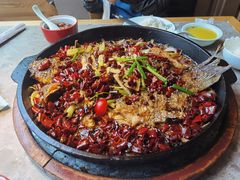 -老板恋上鱼(恒隆广场店)