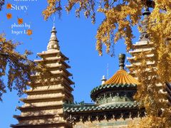 -北京石刻艺术博物馆(五塔寺)