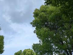 -九科绿洲
