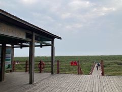 -北海金海湾红树林生态旅游区