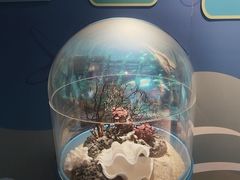 -海合安武汉极地海洋公园