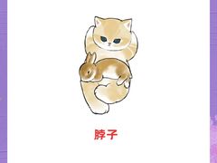-泰洋动物医院·神经专科·磁共振·CT(天河公园总院)