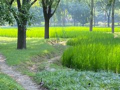 -北坞公园