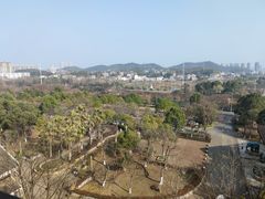 -潜山国家森林公园