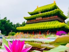 -仿膳饭庄·宫廷风味(百年传承店)