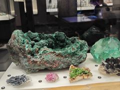 -墨尔本博物馆(Melbourne Museum)