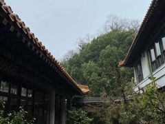 -临江·阅炉