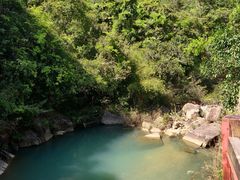 -广州白江湖森林公园