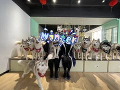 -Husky Go! 哈士奇体验馆·宠物咖啡厅狗咖