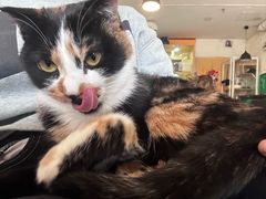 -平行世界·猫咖(首经贸店)