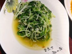 鸡毛菜-集贤门·徽菜(南山店)
