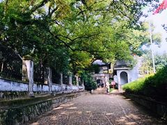 -溪口-滕头旅游景区