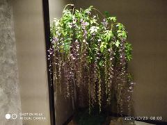 -卡拉卡拉漫温泉汗蒸