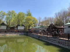 景观位-尚庄度假村·庭台树下·户外烧烤·团建CS·轰趴营地(上庄水库店)