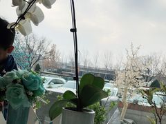 -芳华茶餐厅