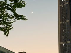 -茶力的小怪兽(梅林卓悦汇店)