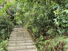 -广州市帽峰山景区