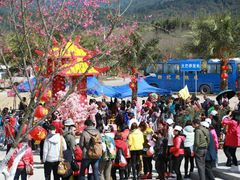 -天适樱花悠乐园