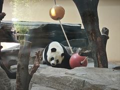 -宁波野生动物园