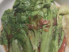 -九毛九西北菜(大东海店)