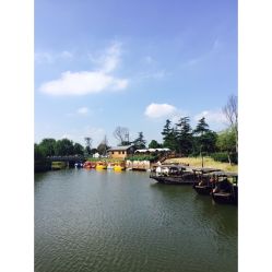 点击看大图 -水八仙生态园